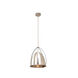 Rani LED 14 inch Black/Satin Nickel Pendant Ceiling Light
