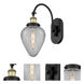 Franklin Restoration Geneseo 1 Light 6.5 inch Black Antique Brass Sconce Wall Light