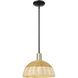Natural Ballston Dome 1 Light 11.75 inch Black Antique Brass Mini Pendant Ceiling Light