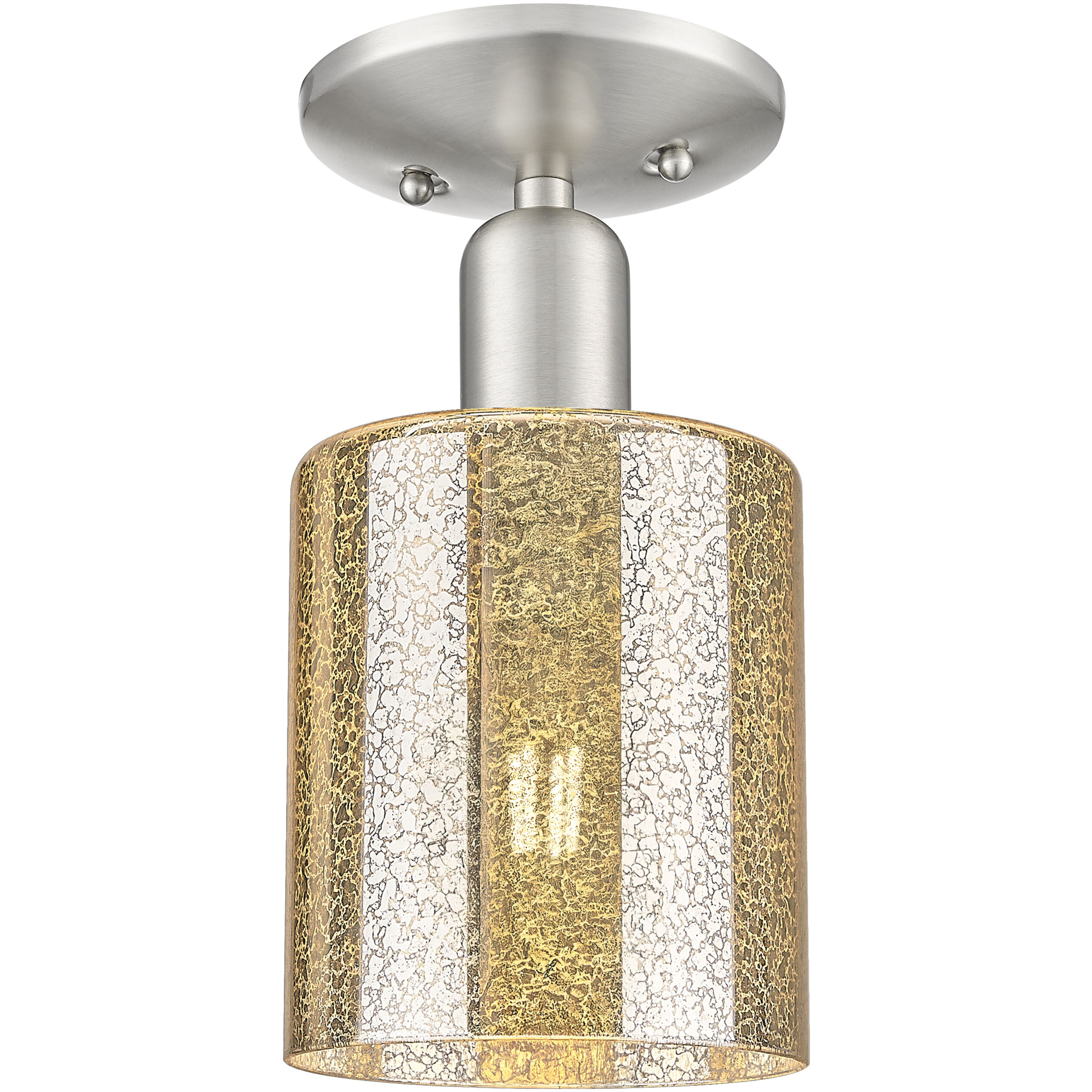 Arcadia Cobbleskill 1 Light 5.00 inch Semi-Flush Mount