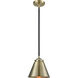 Nouveau Appalachian LED 8 inch Black Antique Brass Mini Pendant Ceiling Light, Nouveau