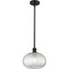 Ballston Ithaca 1 Light 10 inch Matte Black Stem Hung Mini Pendant Ceiling Light