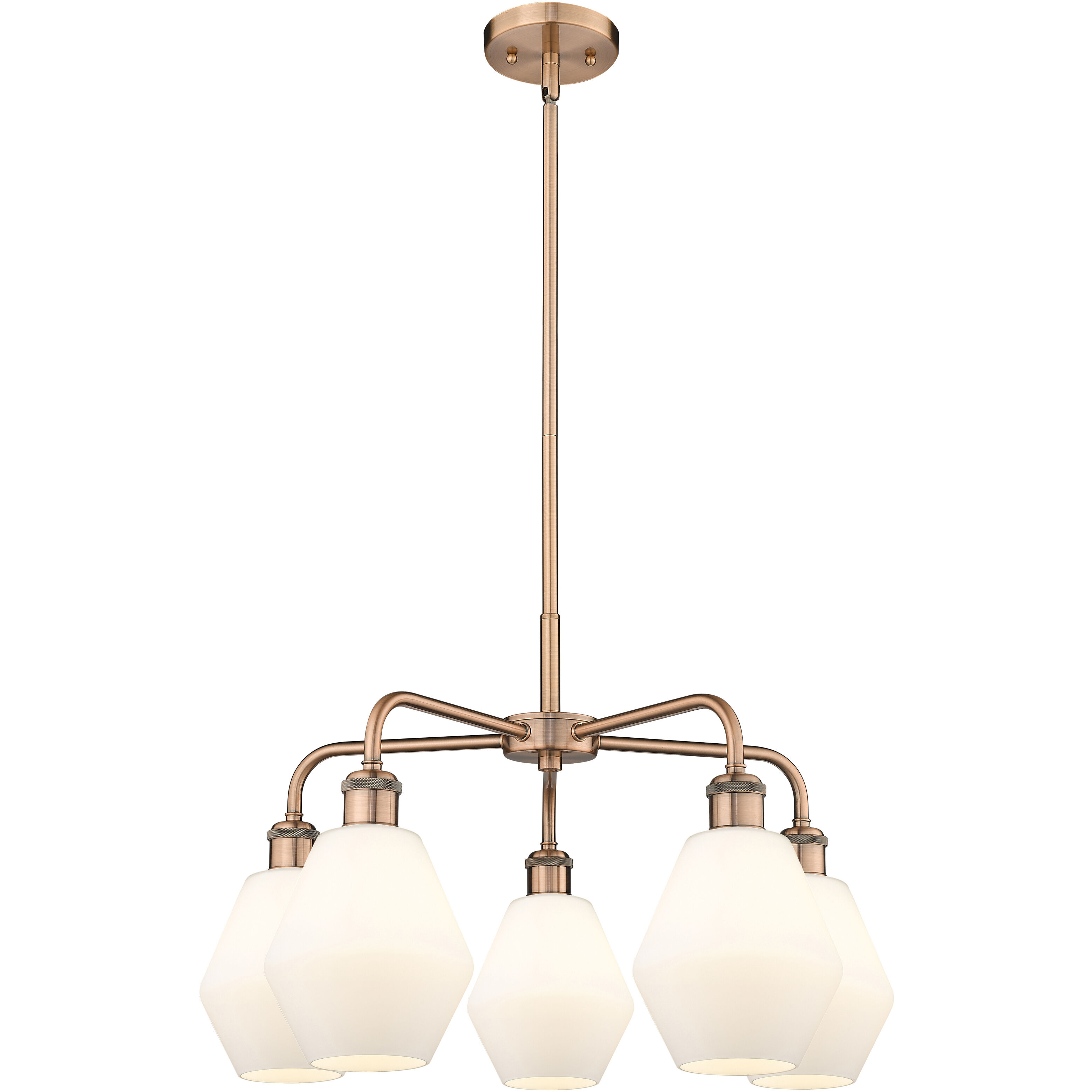 Cindyrella 5 Light 24 inch Antique Copper Chandelier Ceiling Light in Cased Matte White Glass