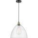 Edison Dome 1 Light 16 inch Black Antique Brass Pendant Ceiling Light in Seedy Glass