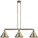 Franklin Restoration Briarcliff LED 43 inch Antique Brass Island Light Ceiling Light, Franklin Restoration