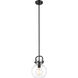 Newton Newton Sphere 1 Light 8 inch Matte Black Mini Pendant Ceiling Light