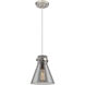 Newton Cone 1 Light 8.00 inch Pendant