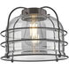 Franklin Restoration Bell Cage LED 9 inch Black Antique Brass Mini Pendant Ceiling Light in Plated Smoke, Franklin Restoration