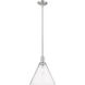Arcadia Berkshire Glass 1 Light 12 inch Brushed Satin Nickel Mini Pendant Ceiling Light in Seedy