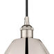 Edison Dome 1 Light 9 inch Polished Nickel Mini Pendant Ceiling Light