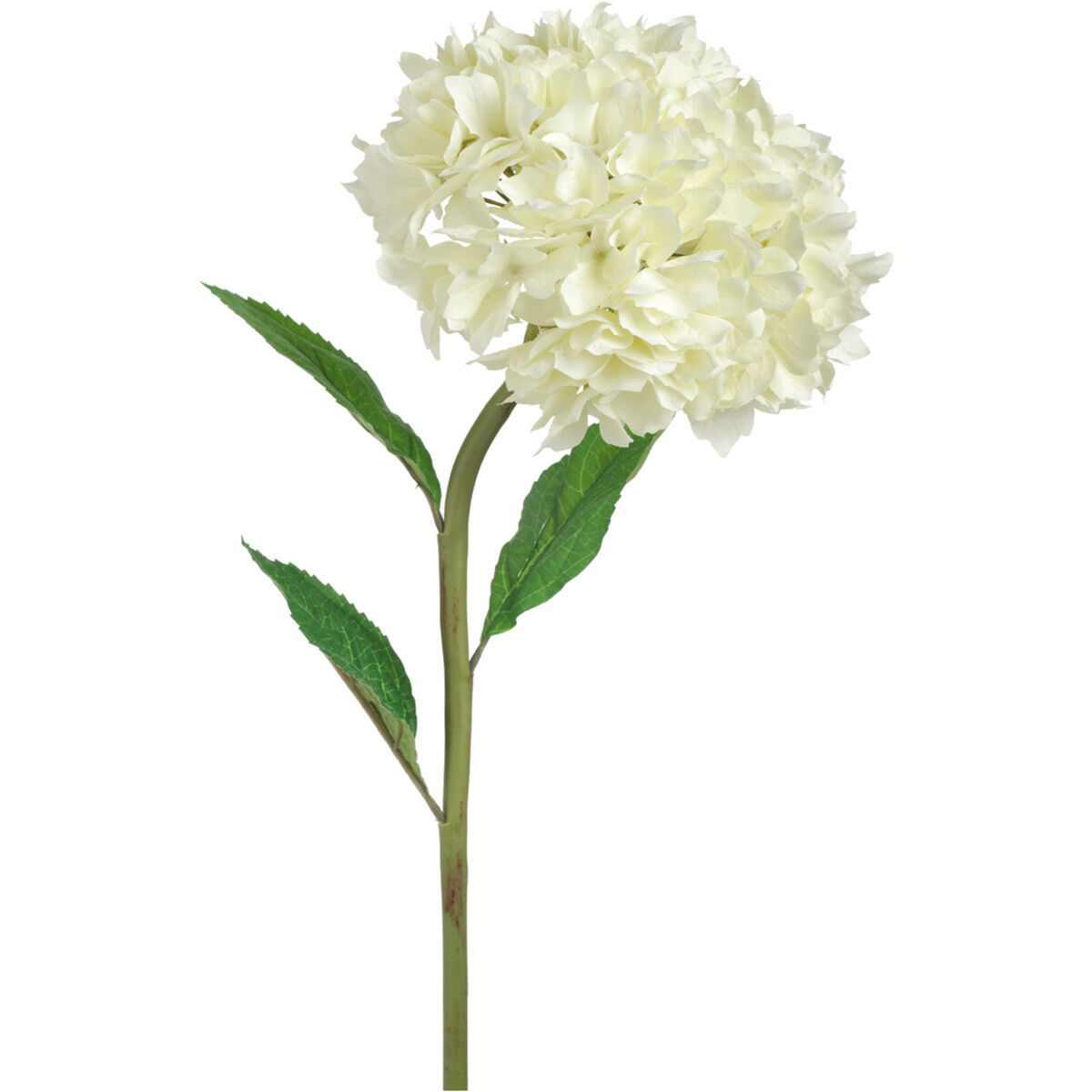 Almost Real 34.00 inch  X 6.50 inch Artificial Flower & Plant