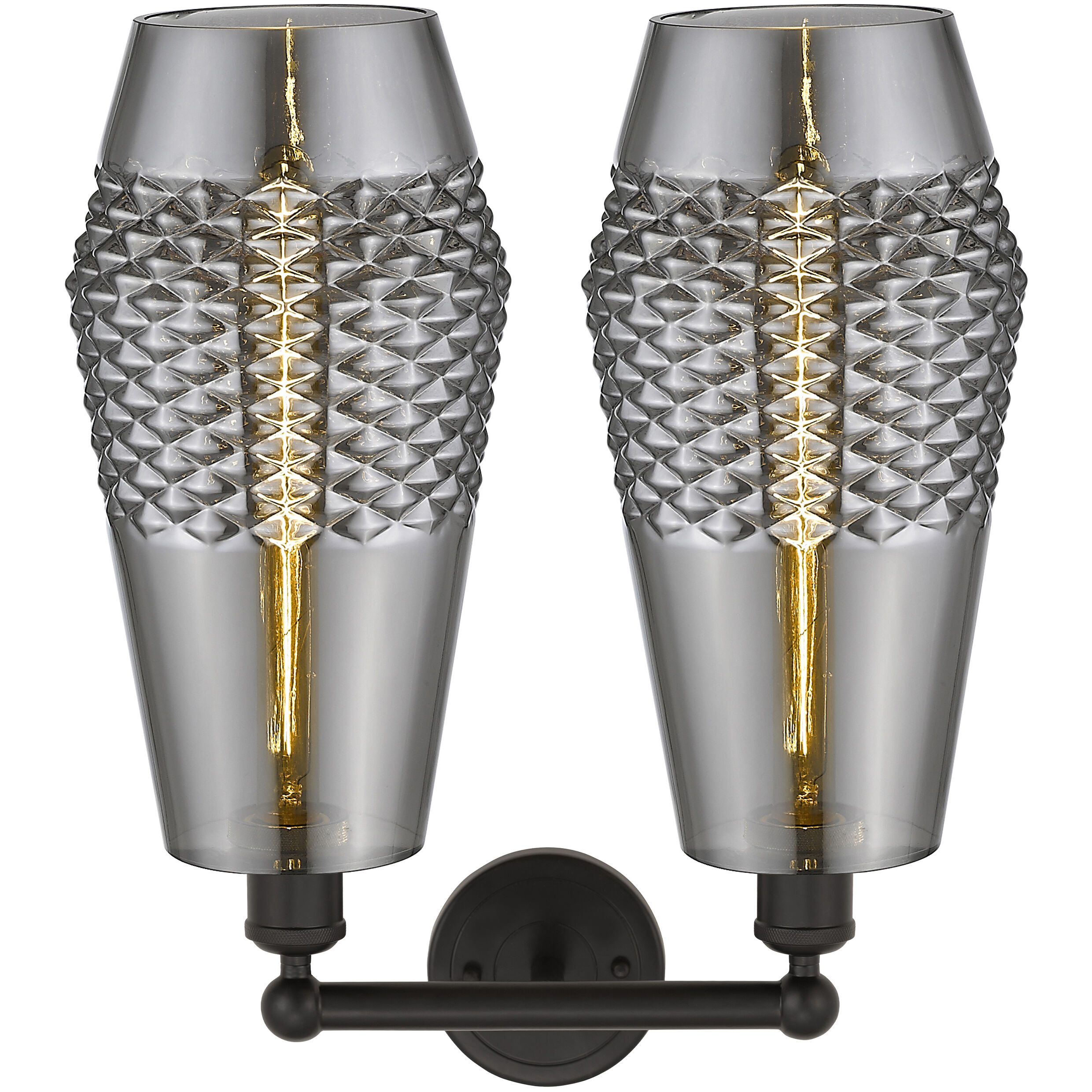 Windham 2 Light 16 inch Oil Rubbed Bronze Bath Vanity Light Wall Light in Smoked Glass