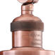 Franklin Restoration Large Cone LED 8 inch Antique Copper Sconce Wall Light in Plated Smoke Glass, Franklin Restoration