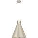 Newton Cone 1 Light 14.00 inch Pendant
