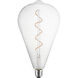 Vintage LED A164 Medium Base 5 watt 120 2200K LED Light Bulb