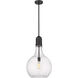 Amherst 1 Light 14 inch Matte Black Pendant Ceiling Light in Seedy Glass