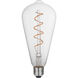 Vintage LED A95 Medium Base 5 watt 120 2200K LED Light Bulb