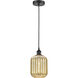 Edison Preston 1 Light 6.75 inch Matte Black Mini Pendant Ceiling Light in Mercury