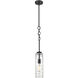 Wexford 1 Light 4 inch Matte Black Mini Pendant Ceiling Light in Incandescent, Clear Deco Swirl