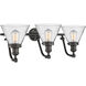 Franklin Restoration Large Cone LED 28 inch Oil Rubbed Bronze Bath Vanity Light Wall Light in Seedy Glass, Franklin Restoration
