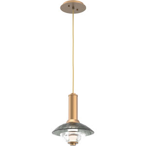 Cirrus LED 14 inch Novel Brass Pendant Ceiling Light in Smoke Granite, Large