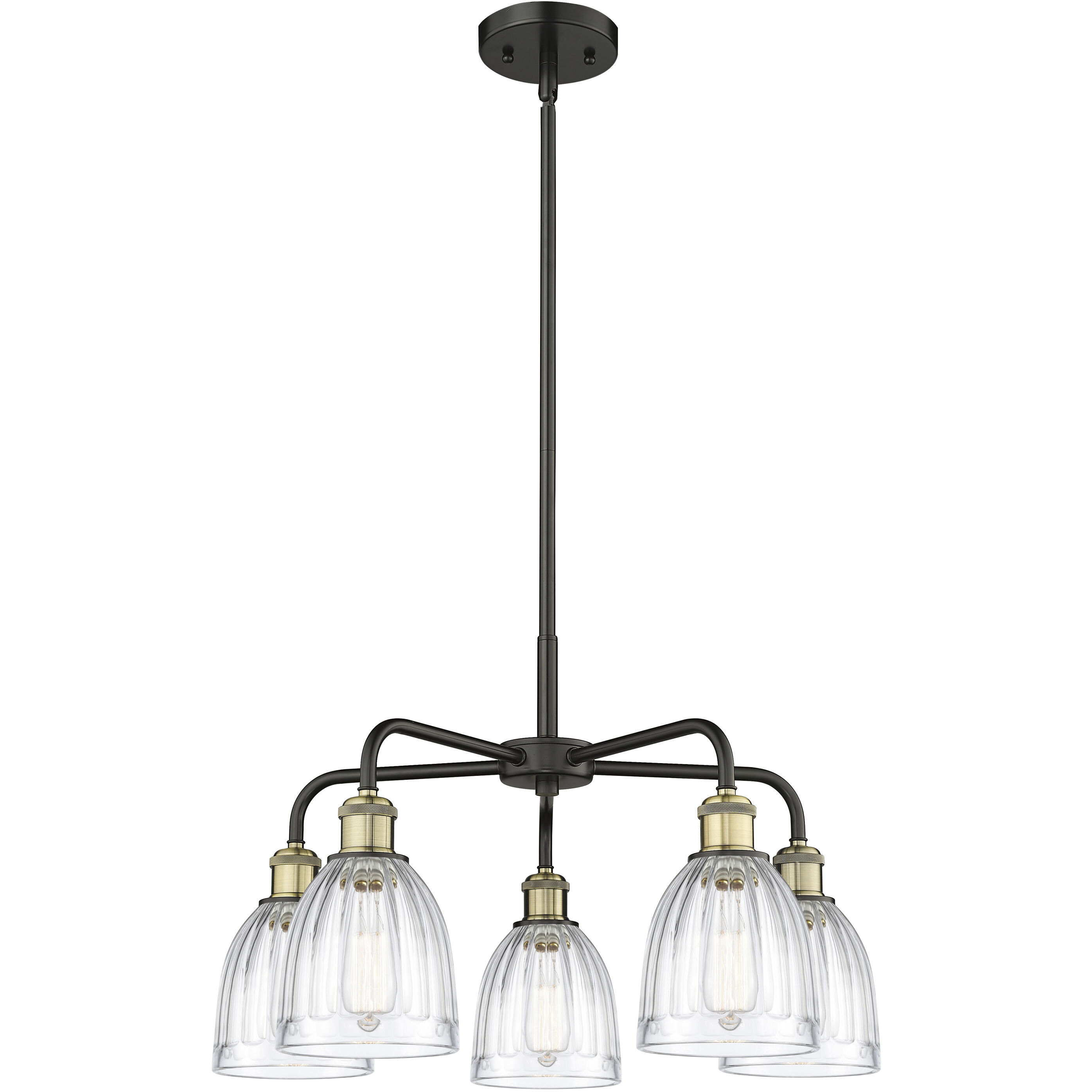 Brookfield 5 Light 23.75 inch Black Antique Brass Chandelier Ceiling Light in Clear Glass