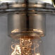 Nouveau Fulton 1 Light 7 inch Black Antique Brass Semi-Flush Mount Ceiling Light in Plated Smoke Glass, Nouveau