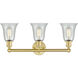Hanover 3 Light 24.25 inch Satin Gold Bath Vanity Light Wall Light in Fishnet