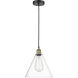 Edison Glass Cone 1 Light 12 inch Black Antique Brass Mini Pendant Ceiling Light