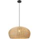 Oasis 1 Light 22 inch Matte Black Pendant Ceiling Light