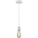 Edison Bare Bulb 1 Light 2.00 inch Mini Pendant