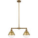 Franklin Restoration Hampden 2 Light 18 inch Black Antique Brass and Matte Black Island Light Ceiling Light in Clear Glass