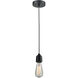 Winchester Bare Bulb 1 Light 2 inch Matte Black Mini Pendant Ceiling Light in Zebra, Winchester
