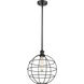 Lake Placid 1 Light 12 inch Matte Black Pendant Ceiling Light