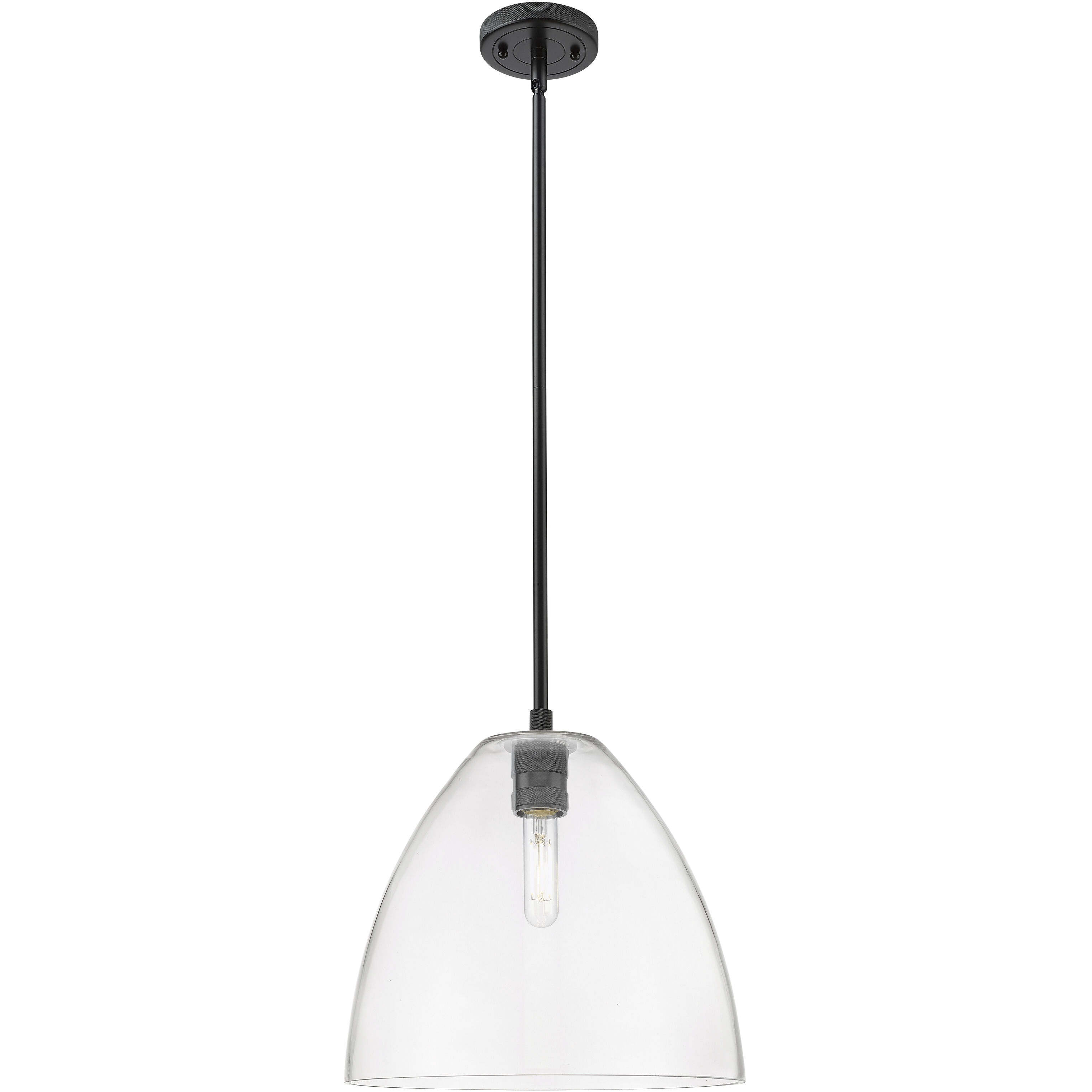 Crown Point 1 Light 12 inch Matte Black Pendant Ceiling Light in Clear Glass