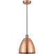 Edison Dome LED 9 inch Antique Copper Mini Pendant Ceiling Light 