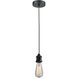 Edison Bare Bulb 1 Light 2 inch Matte Black Mini Pendant Ceiling Light in Zebra, Edison