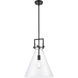 Downtown Urban Newton Cone 1 Light 14 inch Matte Black Pendant Ceiling Light in Clear Glass