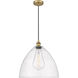 Edison Dome LED 16 inch Brushed Brass Pendant Ceiling Light in Seedy Glass
