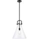 Downtown Urban Newton Cone 1 Light 14 inch Matte Black Pendant Ceiling Light in Clear