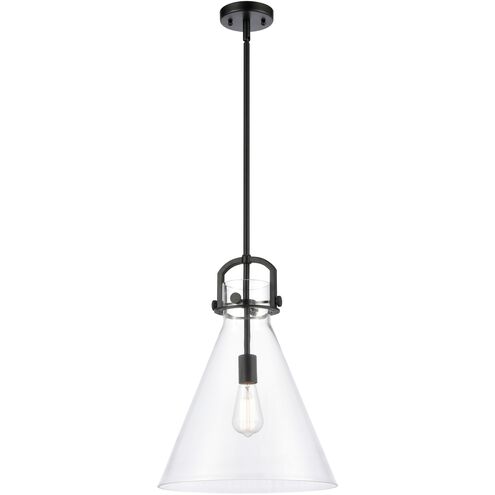 Downtown Urban Newton Cone 1 Light 14 inch Matte Black Pendant Ceiling Light in Clear