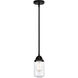 Nouveau 2 Dover LED 5 inch Matte Black Mini Pendant Ceiling Light in Clear Glass