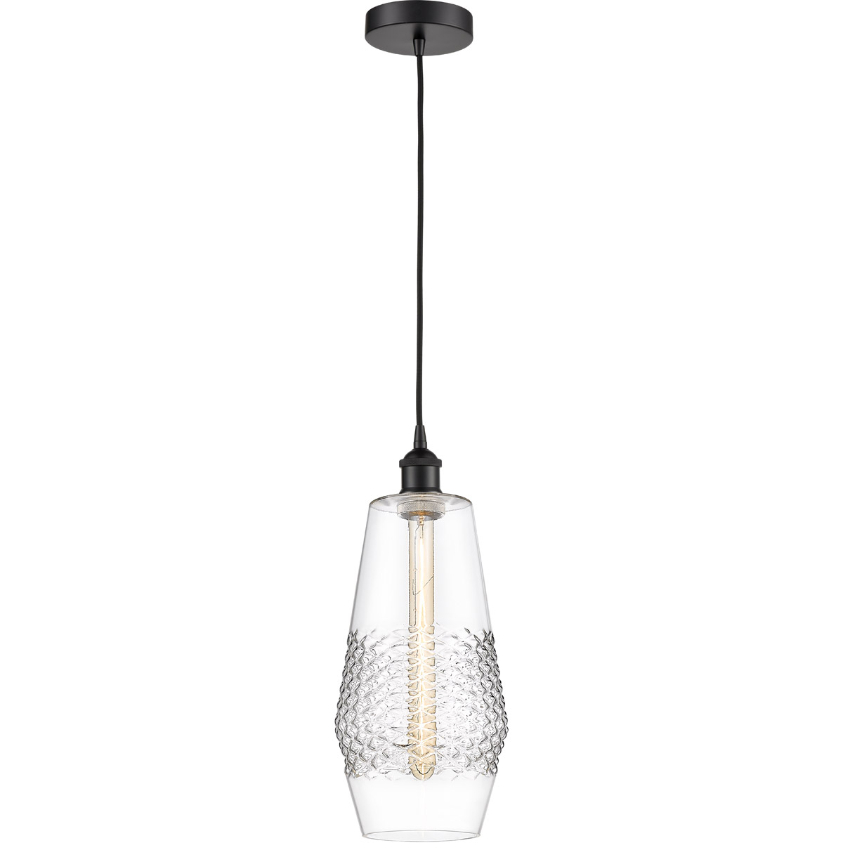 Edison Windham LED 7 inch Matte Black Mini Pendant Ceiling Light in Clear Glass