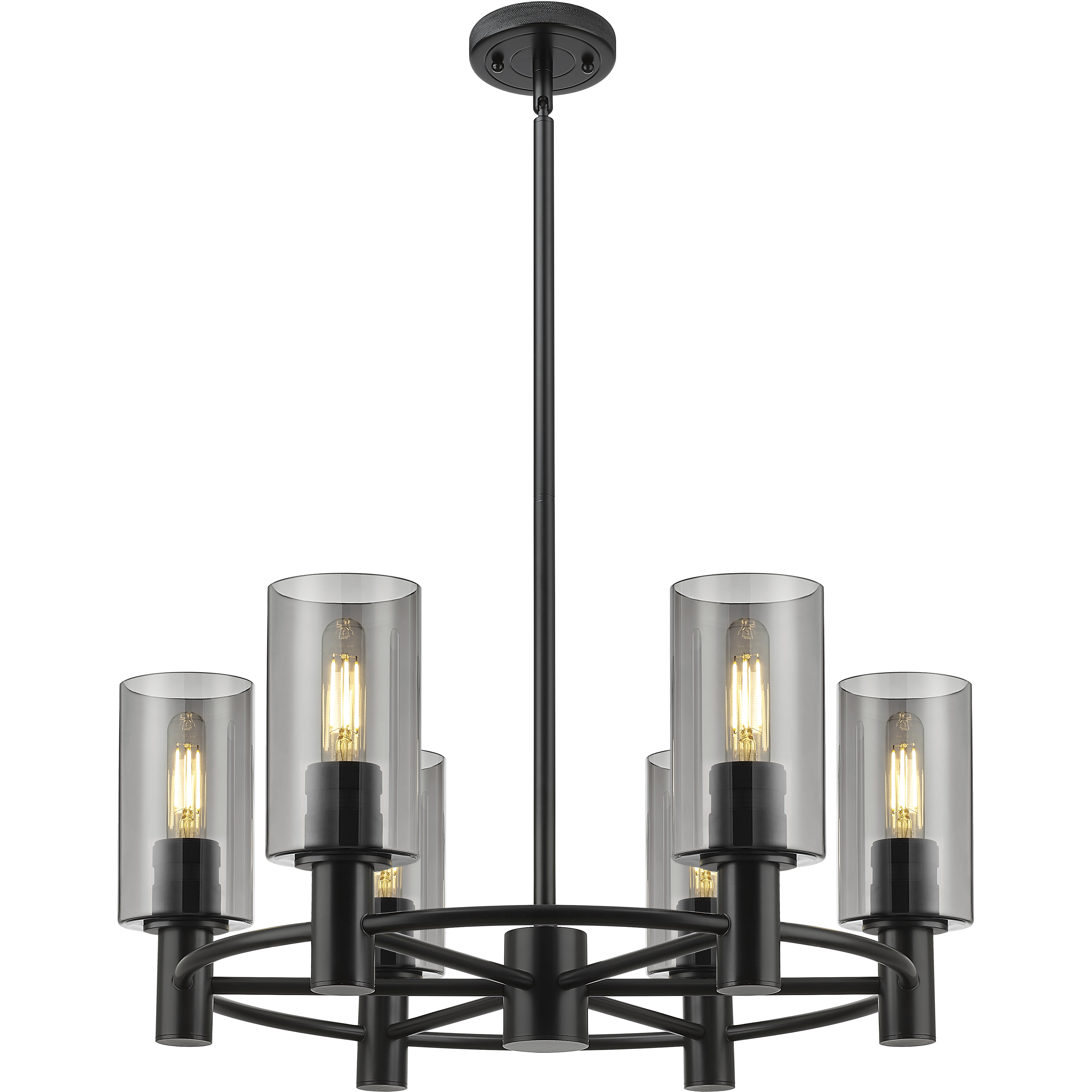 Crown Point 6 Light 24 inch Matte Black Chandelier Ceiling Light in Light Smoke Glass