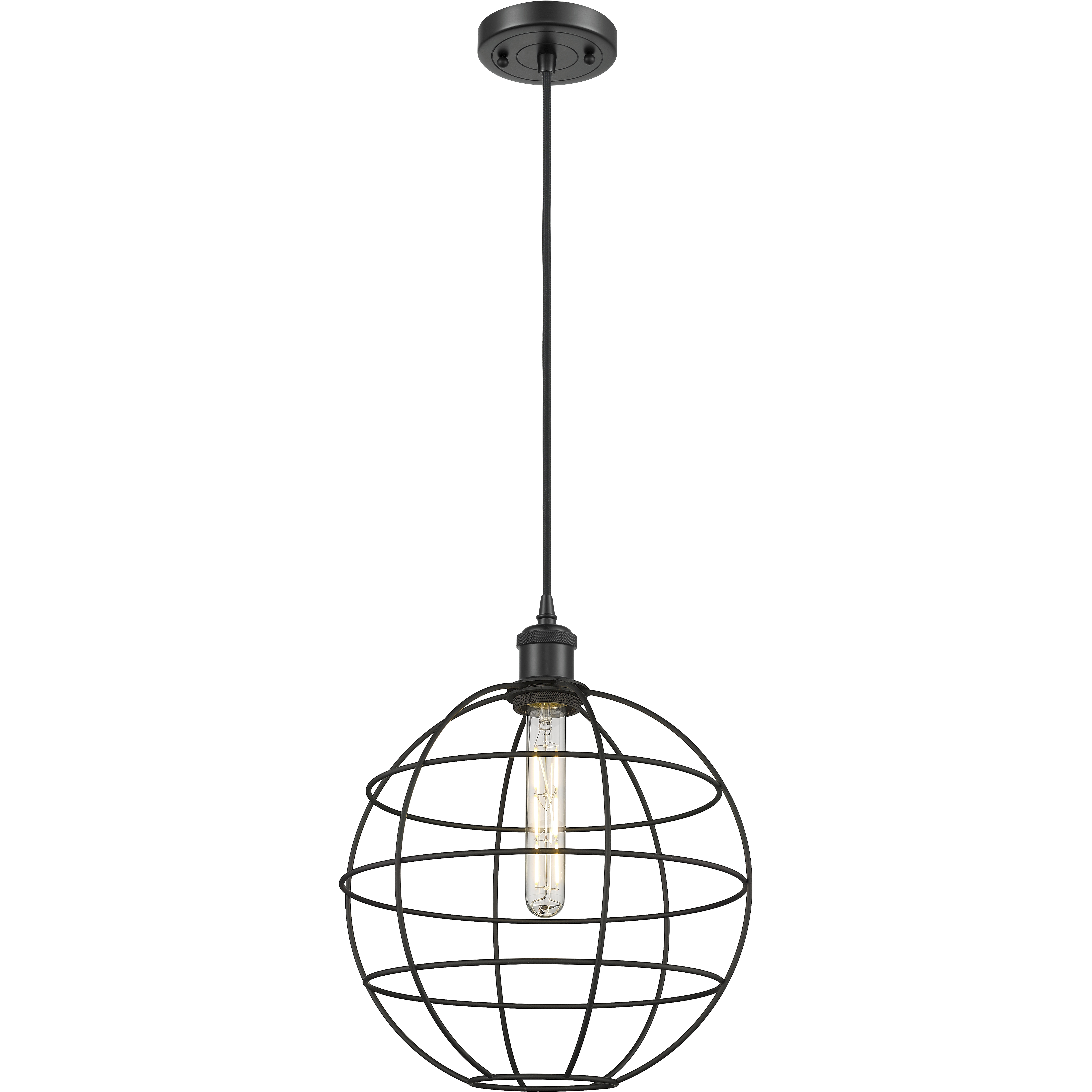 Lake Placid 1 Light 12 inch Matte Black Pendant Ceiling Light