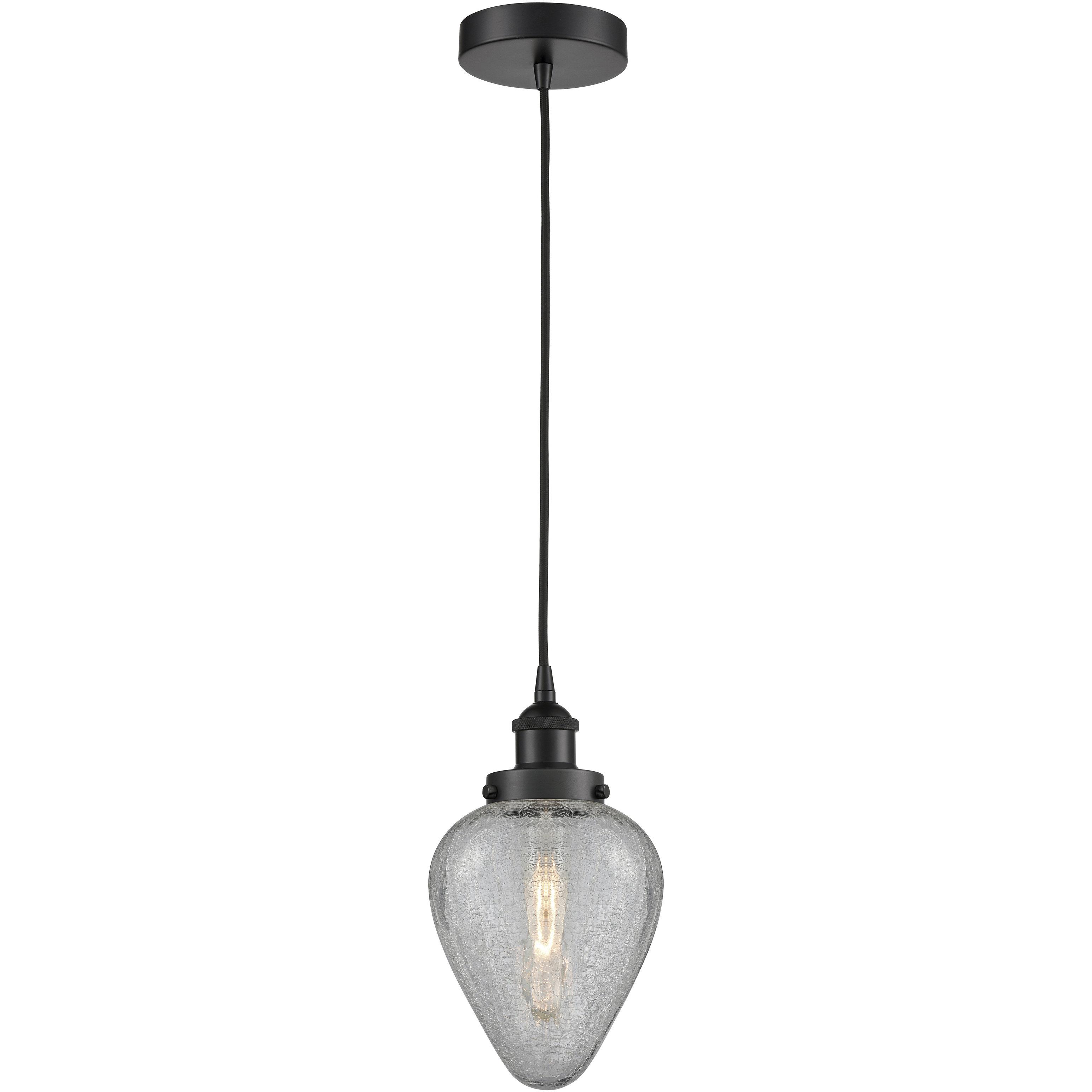 Geneseo 1 Light 6.5 inch Matte Black Mini Pendant Ceiling Light