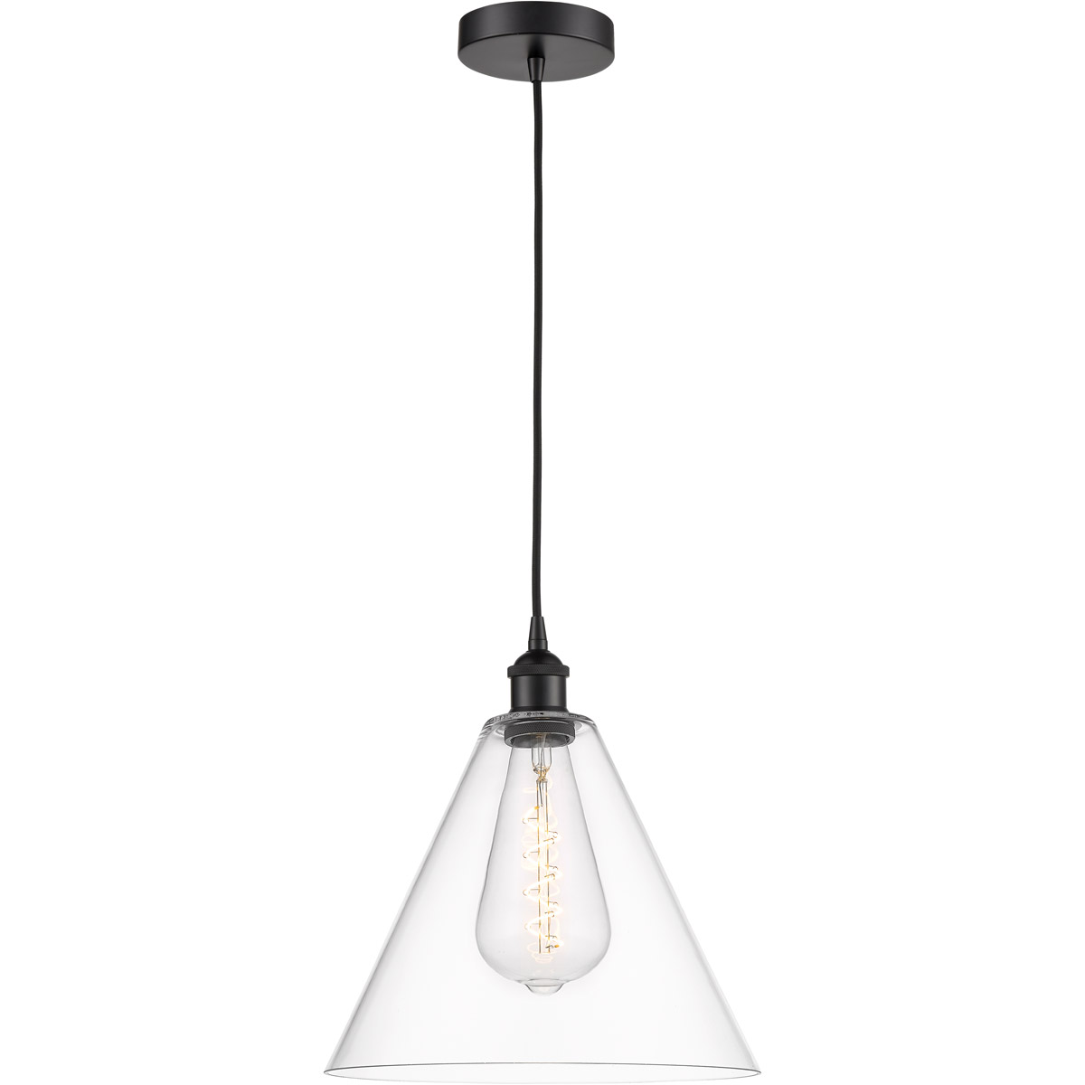 Edison Cone 1 Light 12 inch Matte Black Mini Pendant Ceiling Light