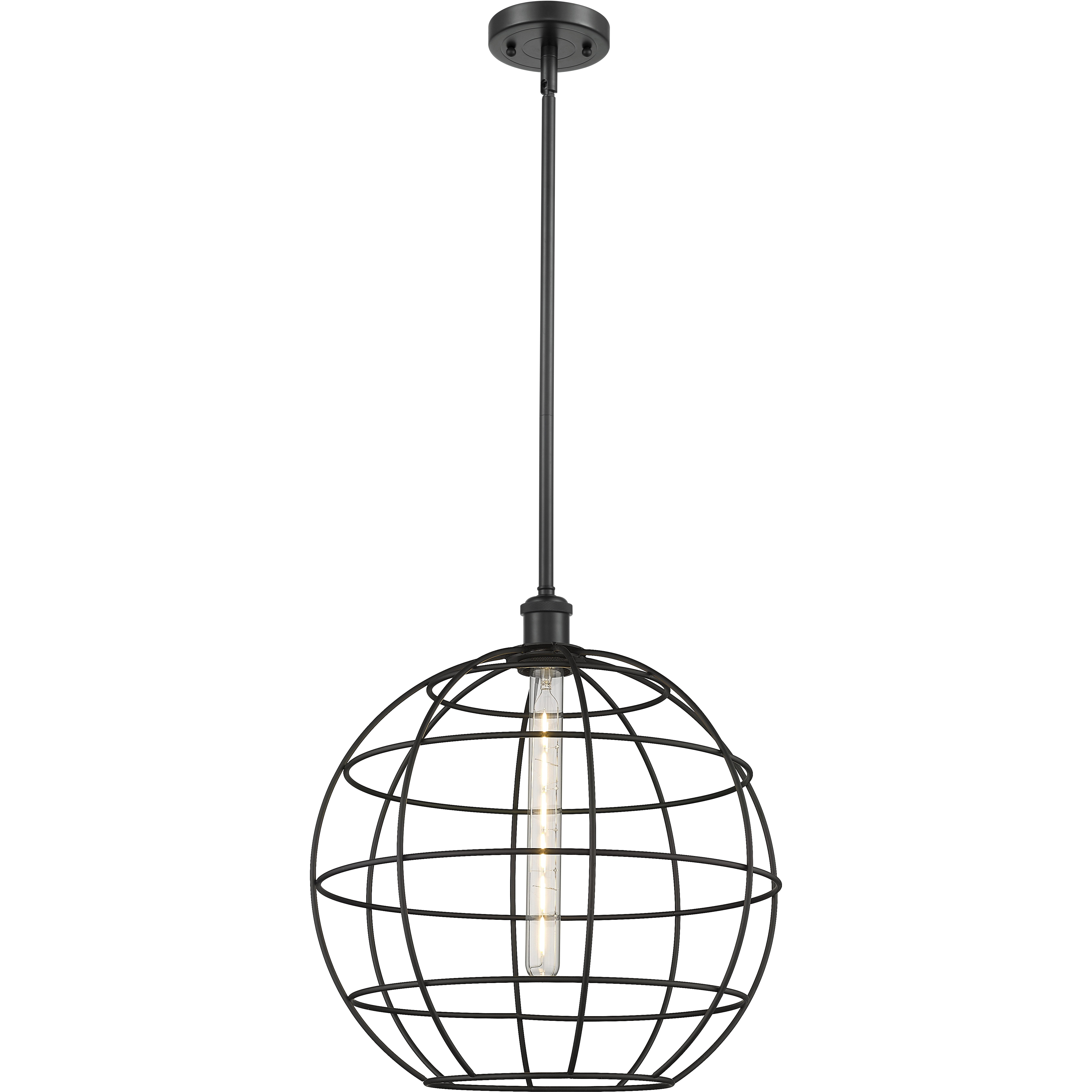 Lake Placid 1 Light 16 inch Matte Black Pendant Ceiling Light