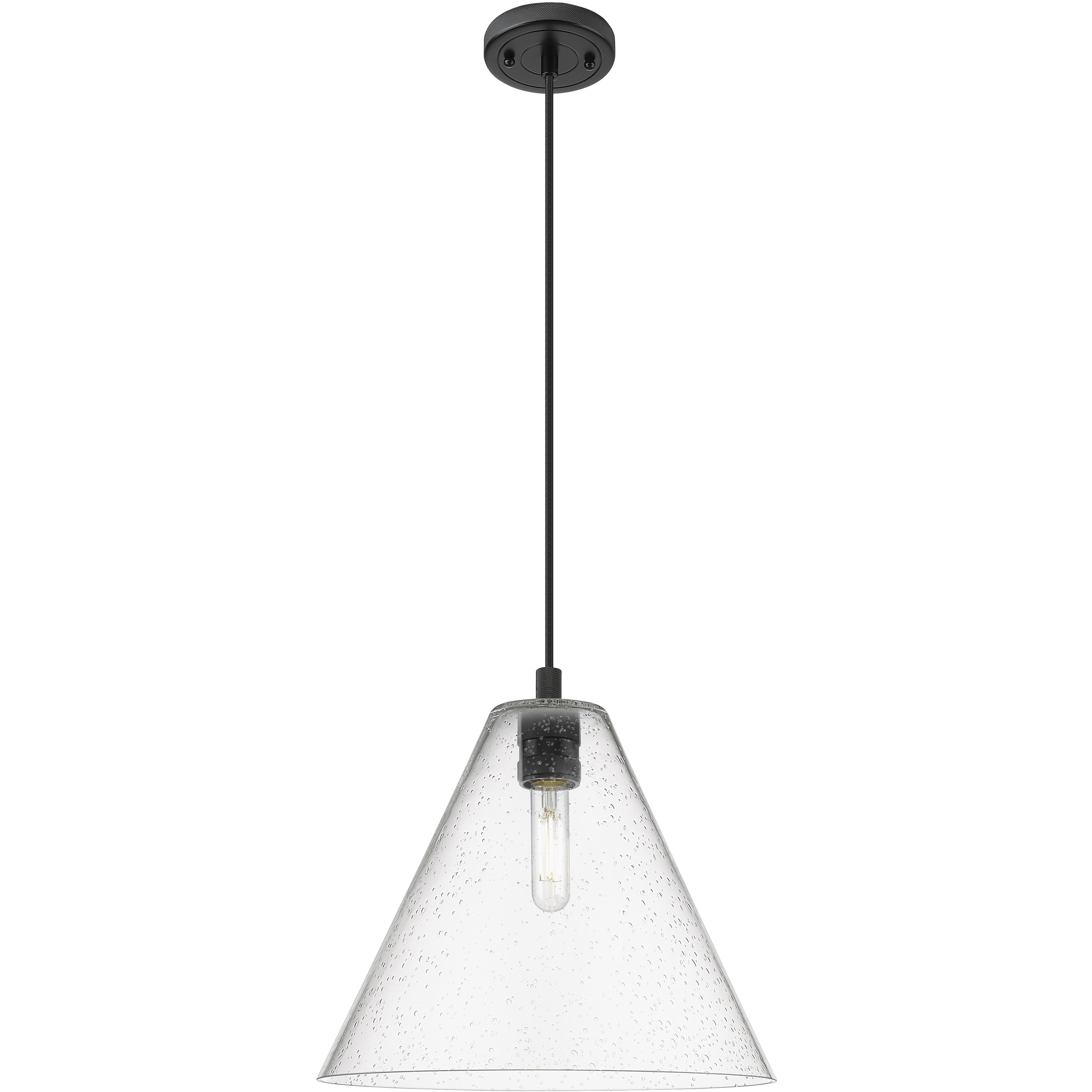 Crown Point 1 Light 12 inch Matte Black Pendant Ceiling Light in Seedy Glass