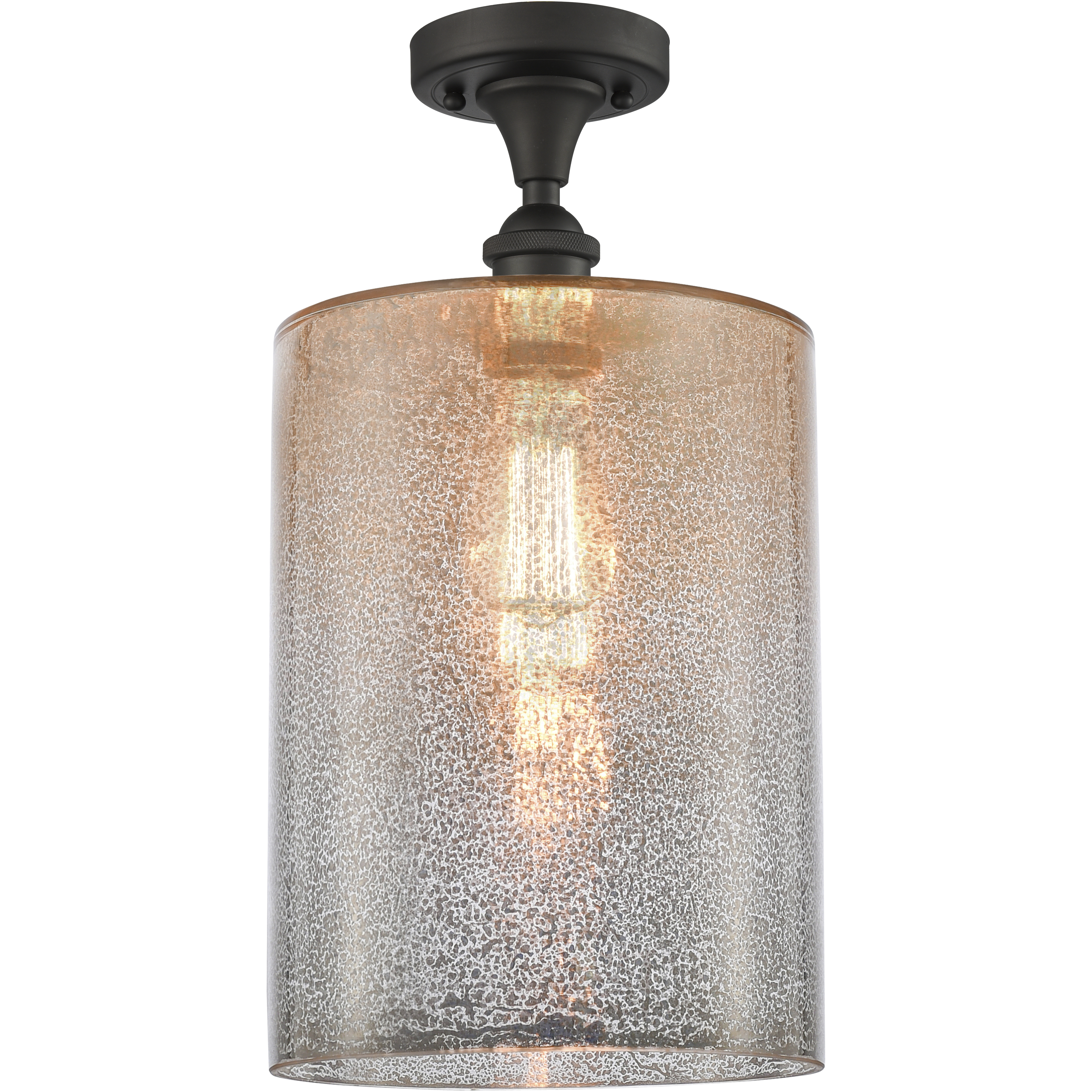 Edison Cobbleskill 1 Light 9 inch Oil Rubbed Bronze Semi-Flush Mount Ceiling Light in Mercury Glass